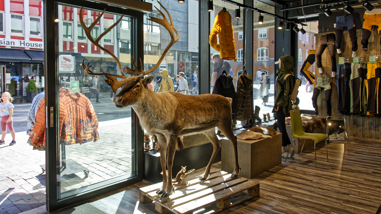 20230731 113133•Tromsø•Troms og Finnmark•Norway